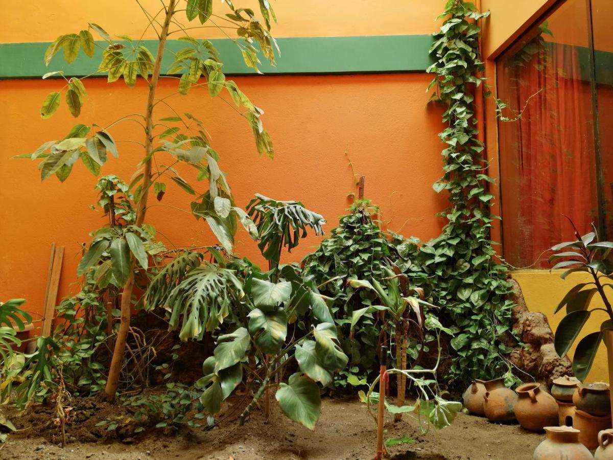 Olas Del Titicaca Backpackers Hostel Copacabana  Eksteriør billede